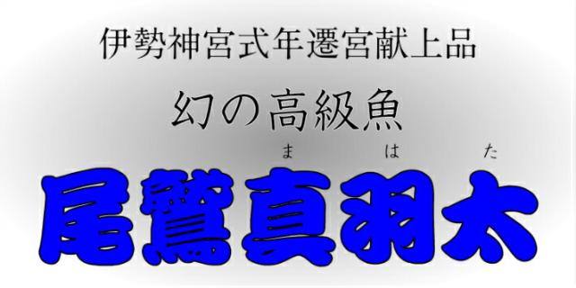 即発送可能 送料無料 幻の高級魚 尾鷲 マハタ 1 3 1 5kg 三重県産 生産量日本一 お鍋 コラーゲンたっぷり お刺身 お寿司 活〆 クエ 鍋 無料長期保証 Iacymperu Org