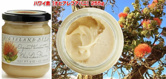 ラッピング無料 生蜂蜜 ハワイお土産 オヒアレファハニー255gk 3個セット ハワイ島大自然のままの香りと味わいは全て本物 オーガニック天然純粋生 蜂蜜 保存版 Arnabmobility Com