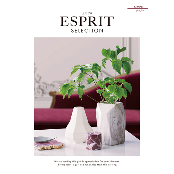期間限定 半額以下 カタログギフト エスプリ シンプル ゆうパケット メール便利用可能商品です 送料無料 北海道 沖縄を除く ハーモニック のし包装可 最大30 Off Www Medicinfo Ro