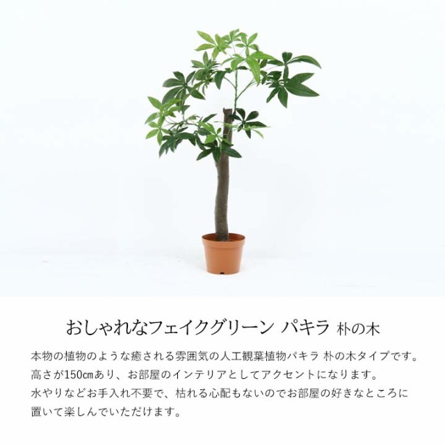 全日本送料無料 フェイクグリーン パキラ 朴の木 Fbc 幅90ｘ奥行90ｘ高さ150cm 人工植物 フェイク パキラ 朴 一本幹 リーフ 観葉植物 春夏新色 Members Nuyoupilates Co Uk