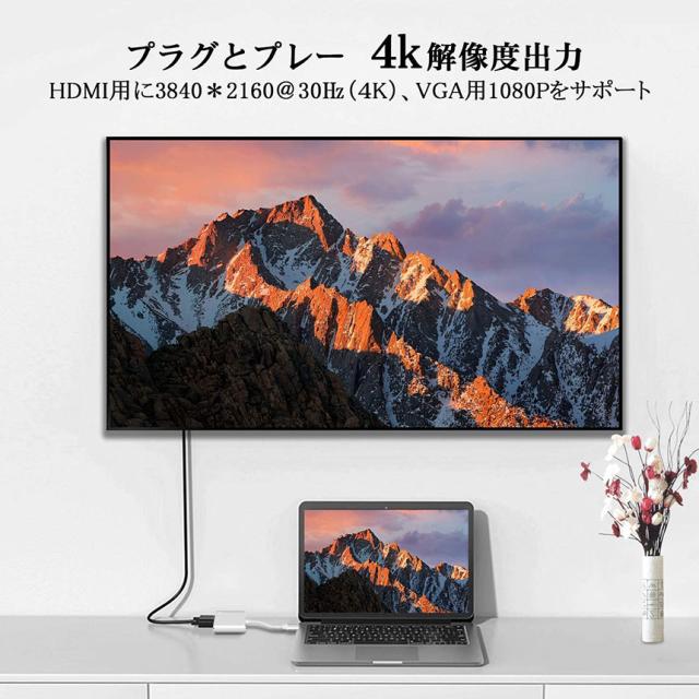 USB Type C to HDMI VGA アダプター 2in1 HDMI VGA同時出力 高速転送 USB-C Thunderbolt 3対応 Type-C to HDMI 4Kx2K/30Hz+ VGAアダプタ