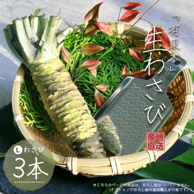 初回分完売 生わさび 有東木 L(70-90g)3本 わさび 山葵 wasabi わさびの門前 静岡産 静岡県 農家直送 産地直送 本わさび  わさびおろし 手土産 プレゼ 延長保証付|グルメ・食品,調味料・食用油 - e-journal.uniflor.ac.id