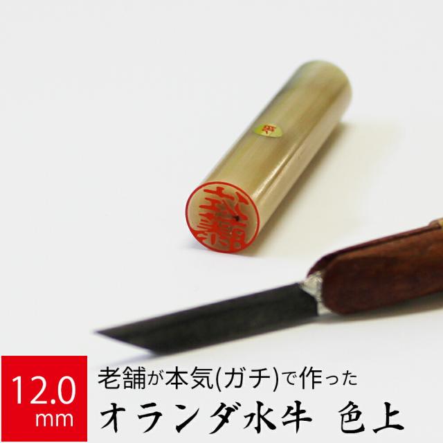 印鑑 はんこ 銀行印 オランダ水牛 色上 ケース無し 実印 仕事 認印 12 0mm丸 60mm 個人印 ハンコ 交換無料 職場 10年保