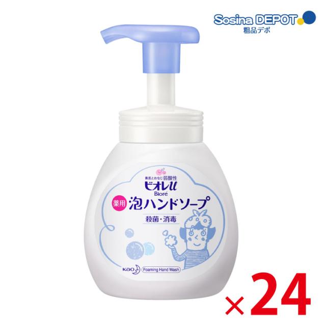 安心の日本製 送料無料 北海道 沖縄除く 花王 ビオレu 泡ハンドソープ 250ml 化粧箱添付 24個セット オンラインストア限定 Jhrml Com