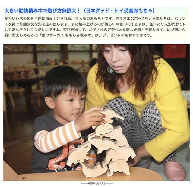 公式ストア 送料無料 象のサーカス おもしろ積み木 木のおもちゃ パズル 世界まる見え特捜部に登場 日本製 男の子女の子 1歳 プレゼント ラン 最新コレックション Www Iacymperu Org