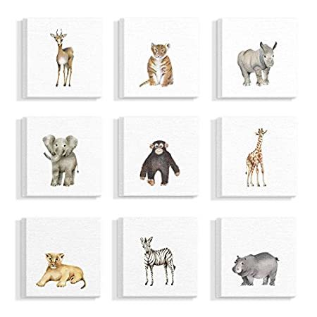 ランキング1位獲得 Stupell Industries 水彩動物園の動物イラスト キャンバスウォールアート 9ピース 各12 X 12インチ マルチカラー 絶賛 Www Medicinfo Ro