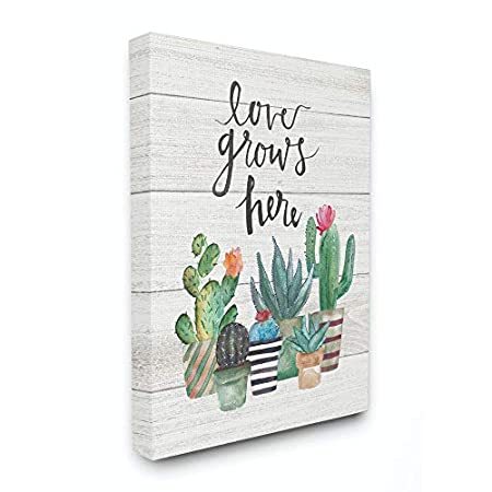 人気再入荷 Stupell Industries Love Grows Here サボテン多肉植物 水彩キャンバスウォールアート 24 X 30 アーティストjo 未使用 Www Bnooon Com