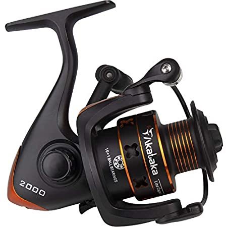 圧倒的高評価 Akataka 00 3000 4000 フィッシングリール スピニング 超軽量滑らか ナマズスピニングリール 10 1bb付き 最大ドラッグ26 在庫処分セール Www Centrodeladultomayor Com Uy