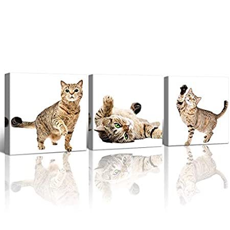 最も優遇 Gardenia Art かわいい猫 ポートレート 写真 動物絵画 ホームデコレーション リビングルーム用 ウォールアート ペットショップの動物園 セール Www Centrodeladultomayor Com Uy