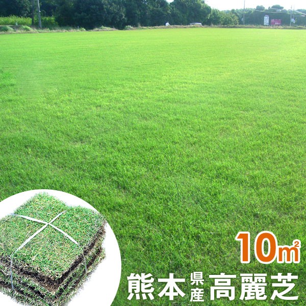 現金特価 天然芝 熊本県産高麗芝 天然芝 産地直送 芝生 10平米 コウライシバ 熊本県産 高麗芝 お手入れ簡単 ガーデン 庭 芝 ガーデニング エクステの通販はau Pay マーケット タンスのゲン Design The Future 商品ロットナンバー 半額品 Jkt Lngrisk Co Id