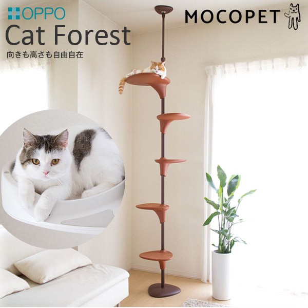 Oppo Catforest キャットタワー 猫用 ダイエット 運動不足解消 ブラウン W 大型商品のため同梱不可