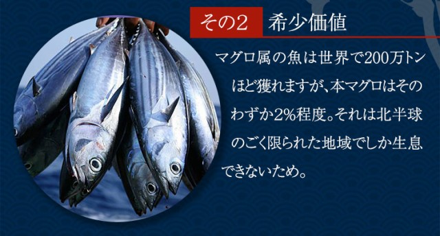 まとめ買い歓迎 63 Offクーポン付き 送料無料 近大生まれ長崎県産本マグロ切り落とし 500g 250g 2パック Kinmag500 プレゼント対象商品 Farmerscentre Com Ng