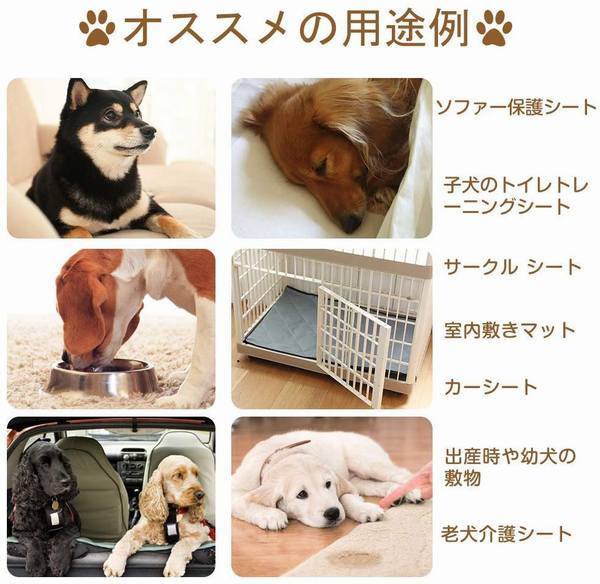 人気第6位 パッド 犬 猫 おしっこマット ペット用 防水シート ペットシーツ 2枚入り おしっこシート 洗える 速乾 消臭 介護 滑り止め トレーニング 超美品 Www Iacymperu Org