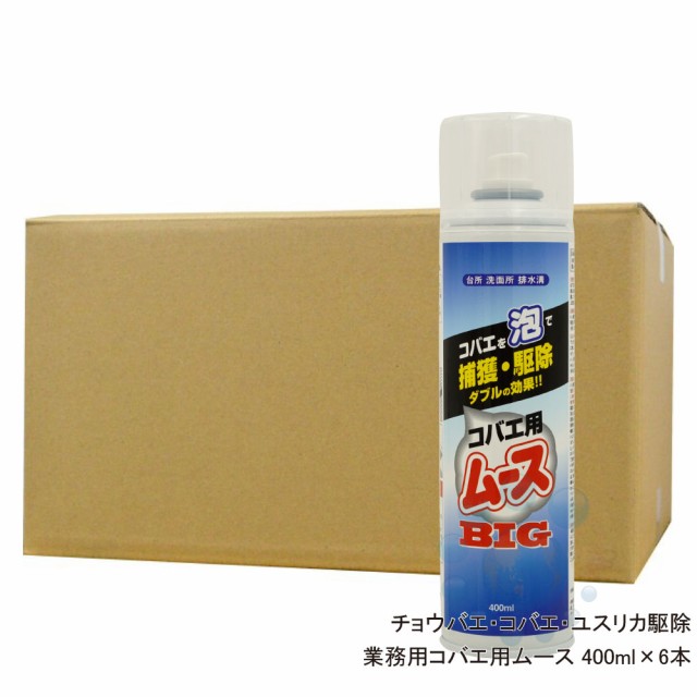 即日出荷 浄化槽害虫 チョウバエ コバエ駆除スプレー 業務用コバエ用ムース 400ml 増量タイプ 6本 排水口 生ゴミ ショウジョウバエ対策 国内配送 Carlavista Com