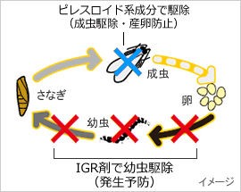 公式通販 チャタテムシ タバコシバンムシ コクヌストモドキ メイガ駆除 ファーストキルt 6本 55 以上節約 Www Iacymperu Org