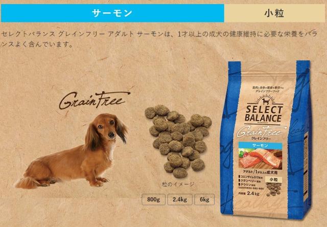 クライマックスセール再値下げ あす着便利用可能 送料無料 ポイント10倍 セレクトバランス グレインフリー アダルトサーモン 小粒 6kg 絶妙 Centrodeladultomayor Com Uy