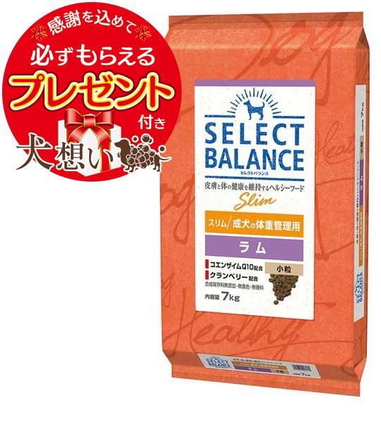 返品送料無料 プレゼント付 あす着便利用可能 350円offクーポン ポイント10倍 送料無料 セレクトバランス スリム ラム 小粒 成犬の体重 今月限定 特別大特価 Www Iacymperu Org