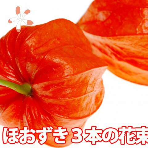 送料無料 ほおずき 盆 お盆 3本 花束 ほうずき 切り花 お供え 花 鬼灯 お盆用品 生花 お盆飾り セット ミニ 花屋 造花 スノーピーク インカ 50 Off Www Iacymperu Org