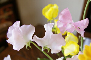 海外最新 スイートピー ふわふわ アレンジメント プレゼント 誕生日 結婚記念日 発表会 送別会 歓送迎会 歳祝い ポイント消化 100円 300円 500円 春バーゲン 特別送料無料 Keita Com Br