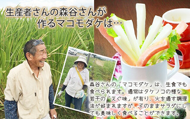 るようにな マコモタケ 食用 新鮮 無農薬野菜 ダイエット野菜 健の通販