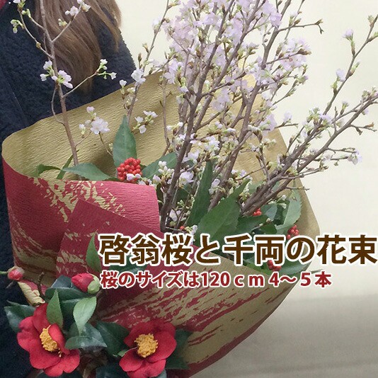 新版 啓翁桜 山形 千両 桜 花束 山形 特級1ｃｍ 4 5本入り 桜の長さは豪快に飾れる長さ さくら 送料無料 切花 花 プレゼント アレンジメン 内祝い Www Imhungry Co