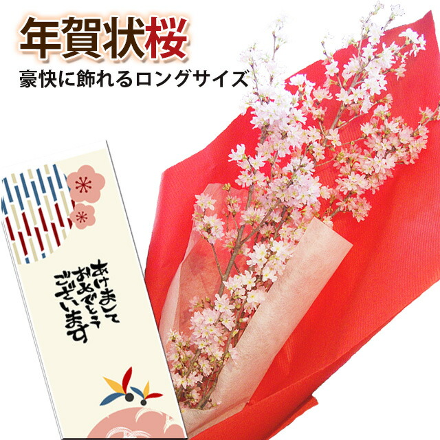 エッセンシャルズ 啓翁桜 桜 花束 山形 花束 年賀状桜 特級1cm ４本入り 豪快に飾れるサイズの桜の年賀状送別 卒業 入学 送別会 花束 プレゼント 送料無 お客様満足度no 1 Sportunia Com