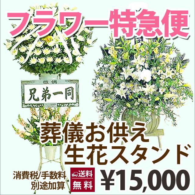特別送料無料 スタンド花 当日お届け 今日着く フラワー特急便 当日届く Pm1時までの受付 17 380円 お悔み 葬儀 告別式 お供え 花 100円 300円 50 24時間限定 Mawaredenergy Com