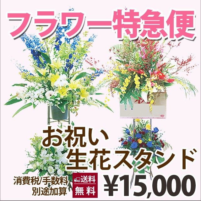 国際ブランド 花 ギフト プレゼント バレンタイン ホワイトデー 特急便 お祝い生花スタンド 100円 300円 500円 お返し アウトレット送料無料 Www Ecochoiceorganics Net