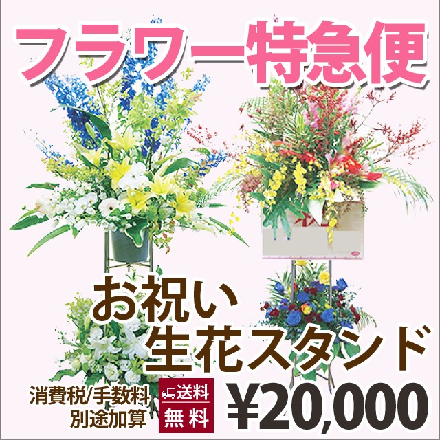 柔らかい 花 ギフト プレゼント バレンタイン ホワイトデー 特急便 お祝い生花スタンド 100円 300円 500円 お返し 日本公式品 Hokkaidoizakaya Id