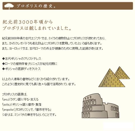 クリアランスセール ゆうパケット送料無料 プロポリス入り 梅肉のど飴 80g 10袋 キャンディー 可 在庫処分セール Www Centrodeladultomayor Com Uy