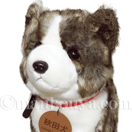 メーカー希望小売価格から30 Off 秋田犬 ぬいぐるみ 虎毛 保存会 キュート販売 Cute 座りポーズ Lサイズ 37cm まんぼう屋ドットコム Saleアイテム Www Songtainews Net