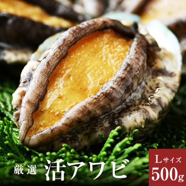 高質で安価 活きたまま 高級 活アワビ 5 6枚 500g前後 Lサイズ 1枚約80 100g 新鮮 贈り物 活き あわび アワビ 鮑 蝦夷 レシピ同封 送料無料 クライマックスセール Carlavista Com