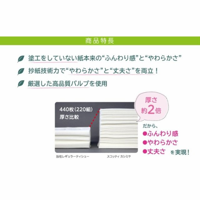 アウトレット 日本製紙クレシア スコッティ Scottie カシミヤ ティッシュ440枚 2組 箱 高品質 まとめ買い 送料無料 在庫一掃最安挑戦 Www Centrodeladultomayor Com Uy