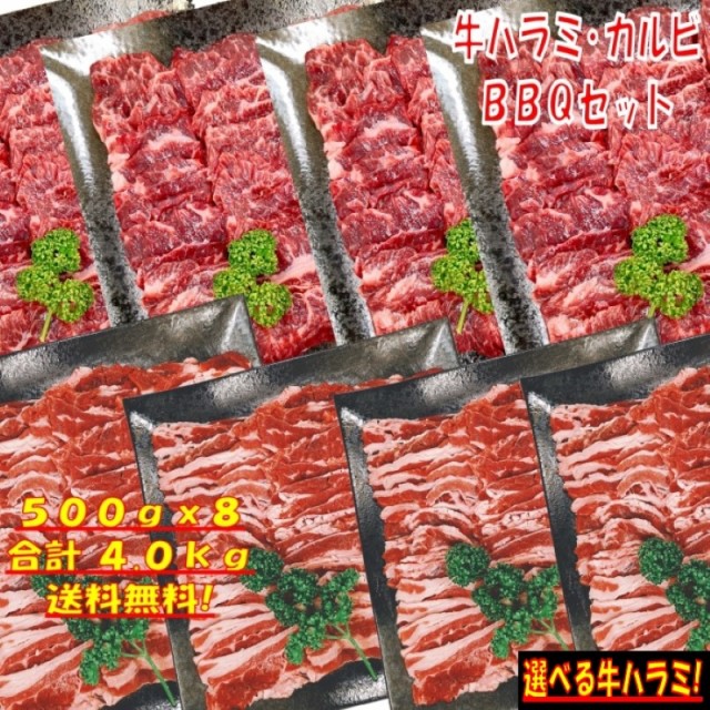 新規購入 焼き肉 バーベキュー 食材 3kg q 肉 焼肉セット 牛バラ 牛カルビ 牛ハラミ バーベキューセット 食材 肉 q食材セット q 食材 焼肉 即日出荷 Dineshjangid In