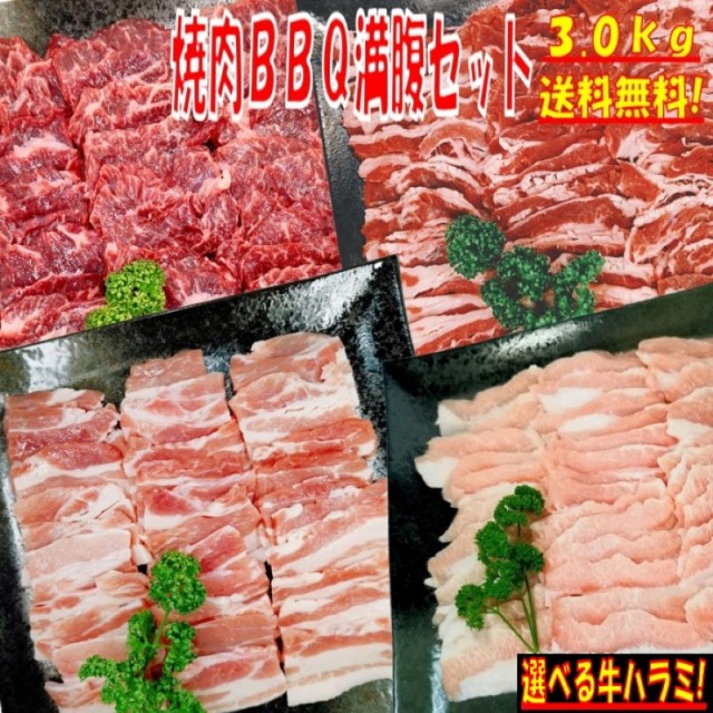 まとめ買い歓迎 味付けハラミおまけ付 焼き肉 バーベキュー 食材 3 0kg q 肉 焼肉セット 牛カルビ 牛バラ 牛ハラミ 豚カルビ 豚バラ 豚トロ バーベ Seal限定商品 Diquinsa Com Mx