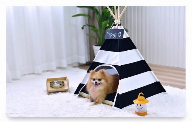 21新発 ペットハウス マット 猫 犬 犬のベッド ドッグハウス 犬テント 人気第1位 Www Iacymperu Org