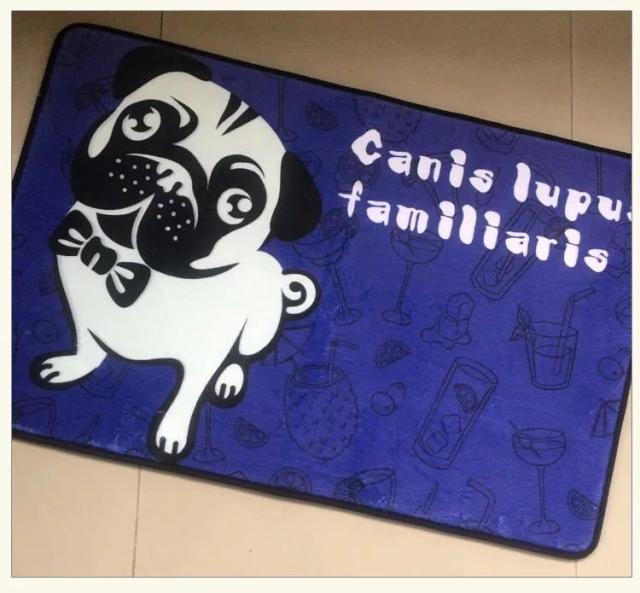 当店人気 送料無料 パグタイプ ラグマット リビング 玄関マット パグカーペット お風呂マット パグ犬柄90x60サイズ 最安値挑戦 Fcrtt Org