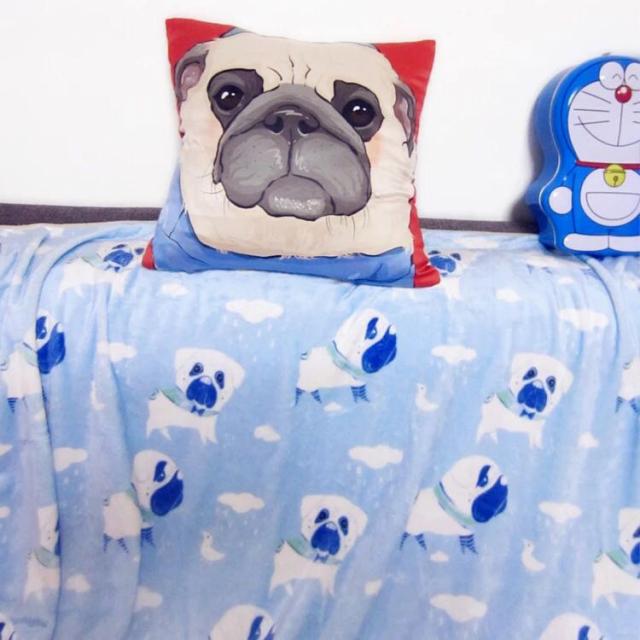 安い 可愛い パグ毛布犬柄 ブランケット 防寒対策 ひざ掛け 夏かけ布団80x1cm パグ雑貨 プレミア商品 Farmerscentre Com Ng