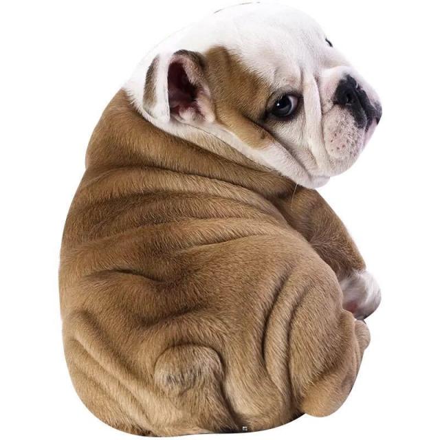Web限定 可愛い 毛布犬柄 ブランケット 防寒対策 ひざ掛け 夏かけ布団170x235 安い購入 Alnahditravels Com