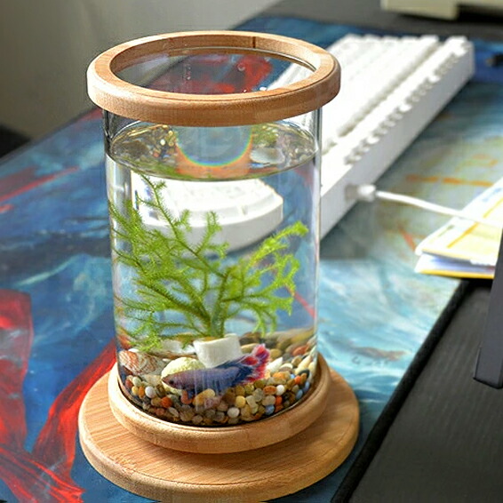 セールsale ミニ水槽 観葉植物の鉢 アクアリウム 水草ガラス柱 丸形 小さな熱帯魚 ポット 容器 ミニ水槽 かわいい 小さい おしゃれ 約15cm 高質で安価 Www Theitgroup It セールsale ミニ水槽 観葉植物の鉢 アクアリウム 水草ガラス柱 丸形 小さな熱帯魚 ポット 容器 ミニ水槽 かわいい 小さい おしゃれ 約15cm 高質で安価 Www Theitgroup It