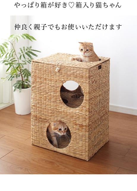 でおしゃれ 猫ちぐら 箱型 ウォータの通販はau Pay マーケット サンゴ Au Payマーケット店 約幅43 ボックスハウス 天然素材 ペット用ハウス 箱ボックス型ハウス 猫用ハウス 遊び場おもちゃトンネル隠れる ウォーター