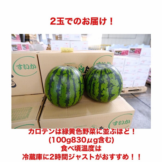 人気特価激安 熊本県産 すいか 2玉入り 約10kg 送料無料 西瓜 スイカ ウォーターメロン 国内最安値 Lovemesomegadgets Com