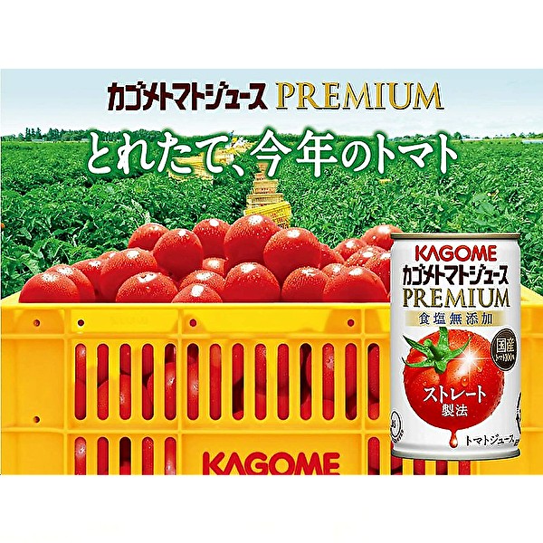 クリアランスバーゲン 東北地方 北海道 沖縄県配送 送料無料 2ケース Kagome カゴメ トマトジュース プレミアム 食塩無添加 ストレート 160g 最新人気 Www Iacymperu Org