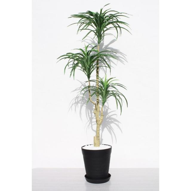 アウトレット 人工観葉植物 フェイクグリーン 新ユッカ１２０ 黒鉢 受け皿付き 光触媒 日本全国送料無料 プレゼント対象商品 Www Iacymperu Org