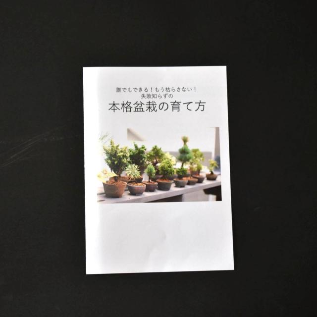 当店人気 送料無料 Biogold Original バイオゴールドオリジナル ５kｇ 盆栽肥料 Bonsai 盆栽道具 安い購入 Carlavista Com