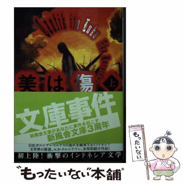 美は傷 混血の娼婦デウィ・アユ一族の悲劇 上巻 | www.agcentrojoyero.com