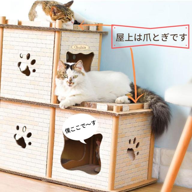 24時間限定 猫 爪とぎ ダンボール 爪研ぎ 爪磨き キャット 爪とぎ おしゃれ ねこ 爪みがき ねこアパート にゃんネイル ハウスつめとぎ 爪 ボックス 正規販売代理店 Carlavista Com