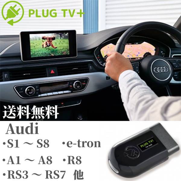 アウディ TVキャンセラー プラグ  PULG TV for Audi A1 S1 A3 S3 RS3 他 コードテック CodeTech CAM PL3-TV-A001