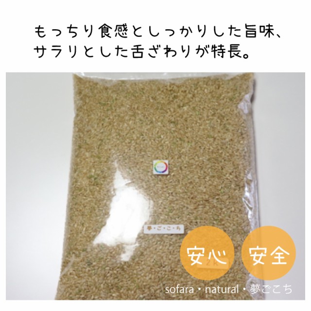 ついに入荷 れんげ緑肥 無農薬栽培 こしひかり 玄米 24kg そふぁら コシヒカリ 滋賀県 伊吹山 自然な甘さ fucoa.cl