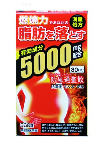 全ての 第2類医薬品 送料無料 阪本漢法の防風通聖散錠ゴールド 360錠 独創的 Carlavista Com